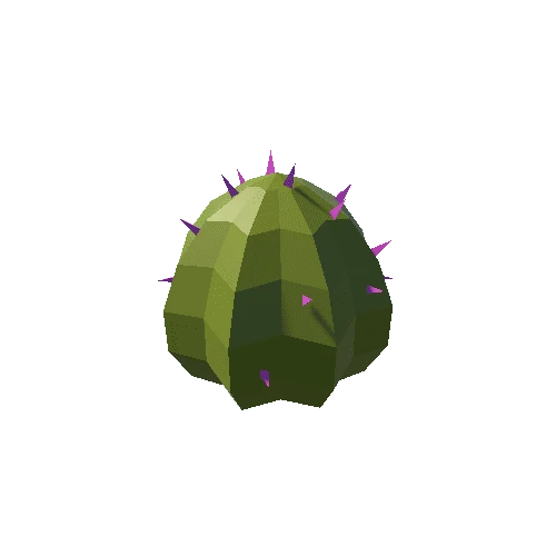 Cactus_14_B