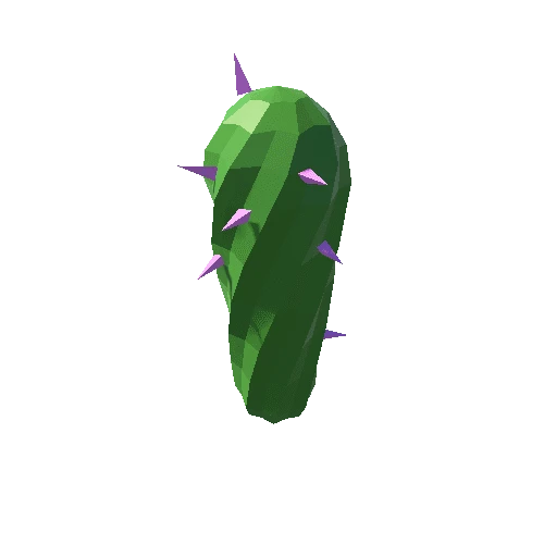 Cactus_16_B