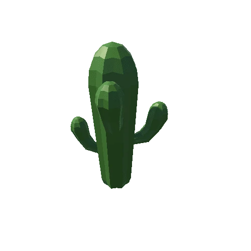 Cactus_17_A