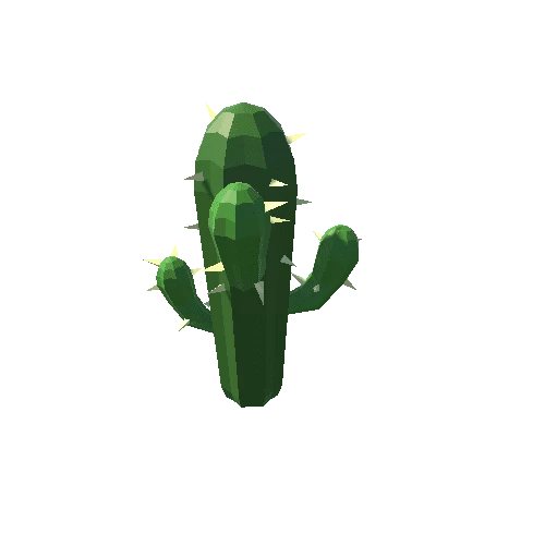 Cactus_17_B