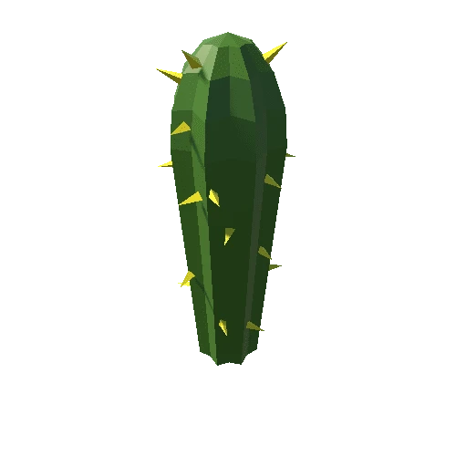 Cactus_18_B