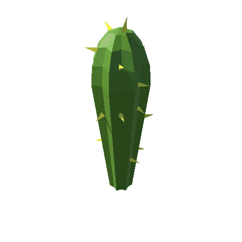 Cactus_19_B