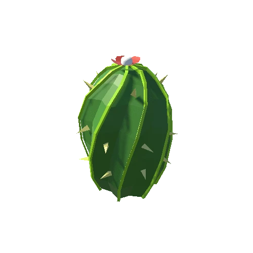 Cactus_20_B