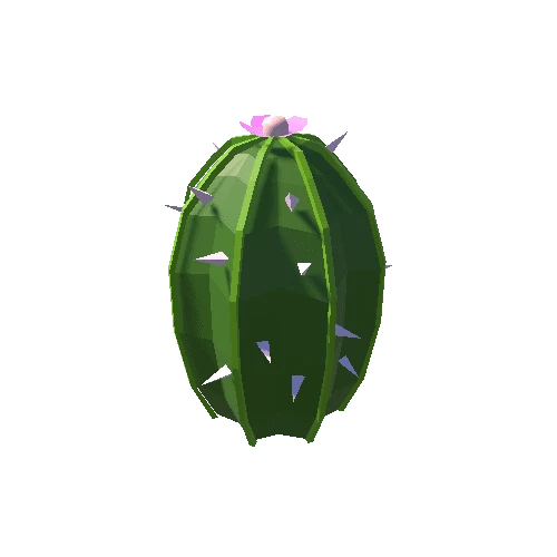 Cactus_21_B