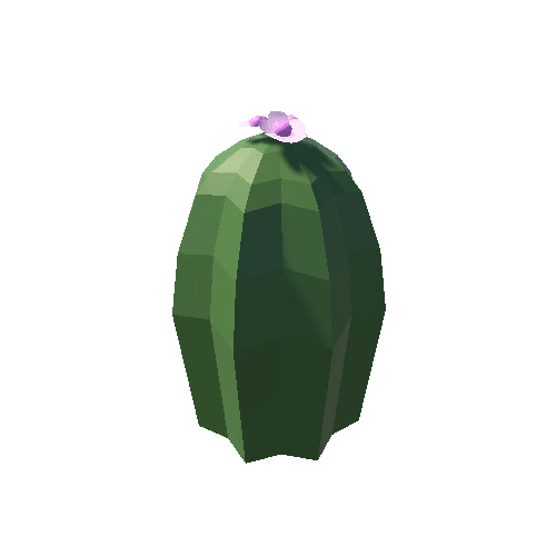 Cactus_23_A