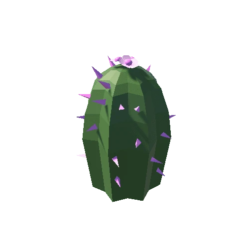 Cactus_23_B