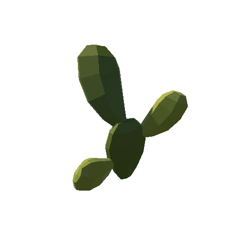 Cactus_27_A