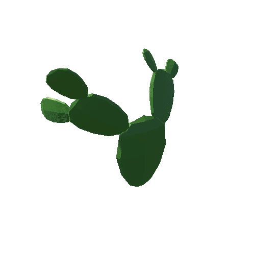 Cactus_28_A