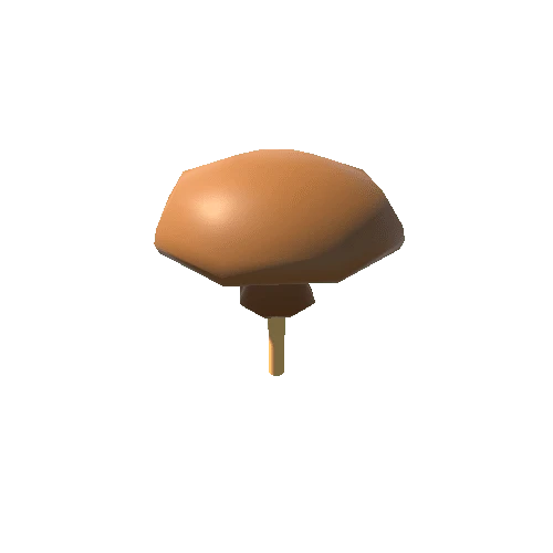 Mashroom_05