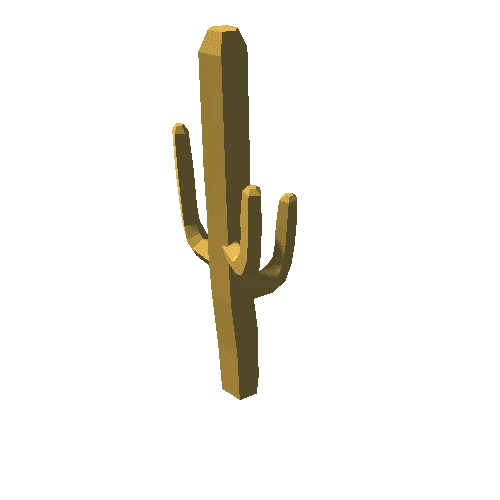 Cactus_2