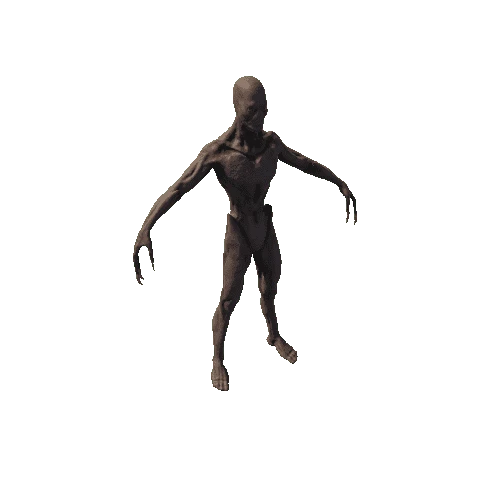 Base_Mesh_Body