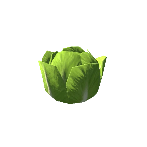 Cabbage_01