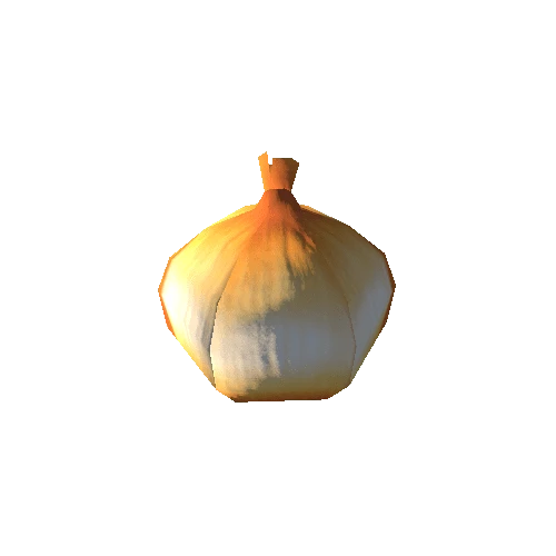 Onion_01