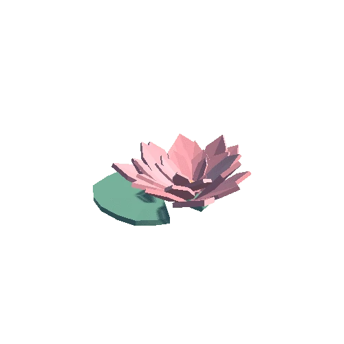 Water_Lily_1