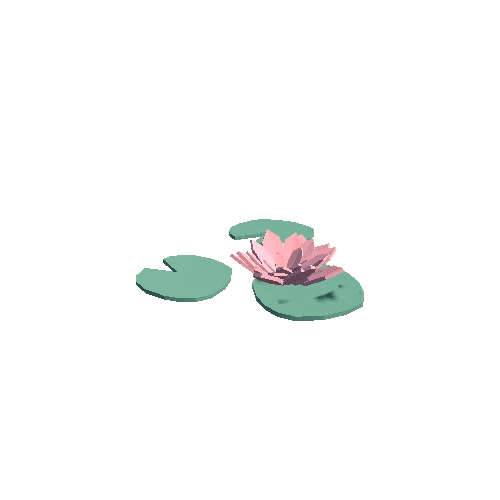 Water_Lily_2