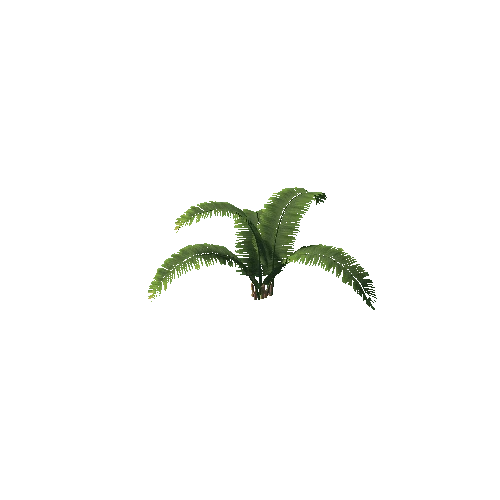 plant6