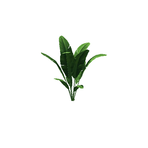 plant9
