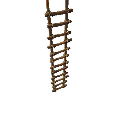 Ladder01_06