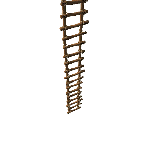 Ladder01_08