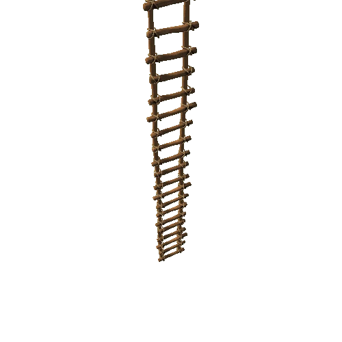 Ladder01_10