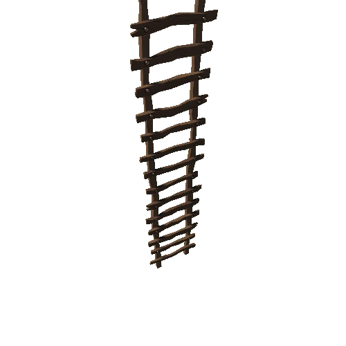 Ladder02_06