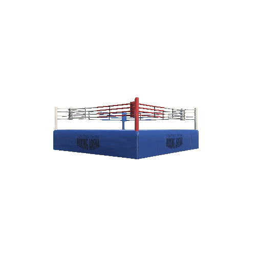 boxing_arena_ring