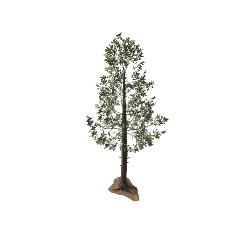 tree_c