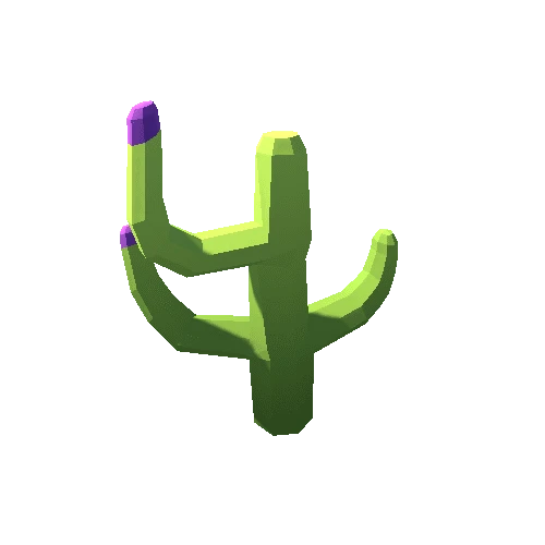 Cactus_1