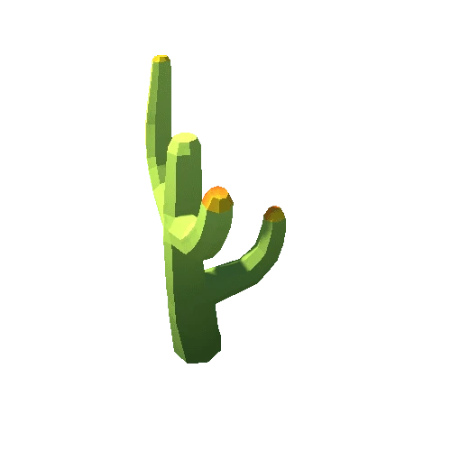 Cactus_10