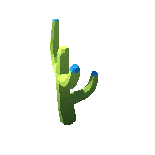 Cactus_11