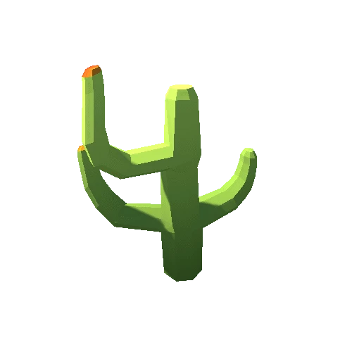 Cactus_2
