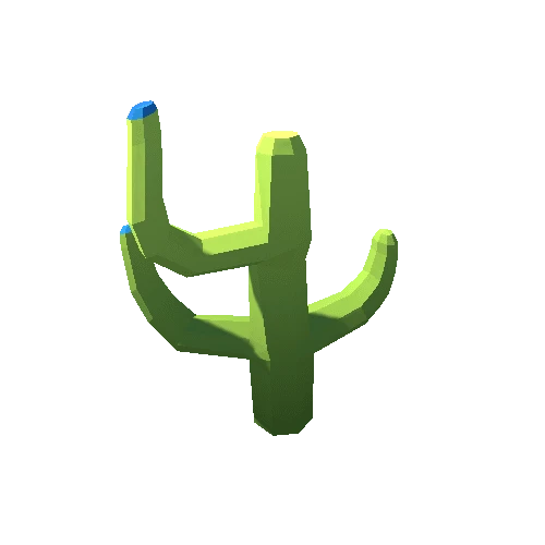 Cactus_3