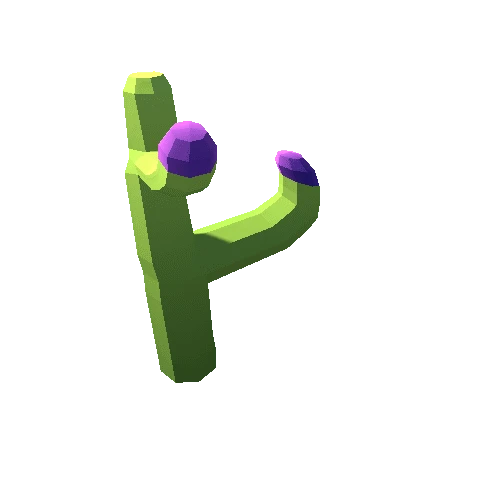 Cactus_5