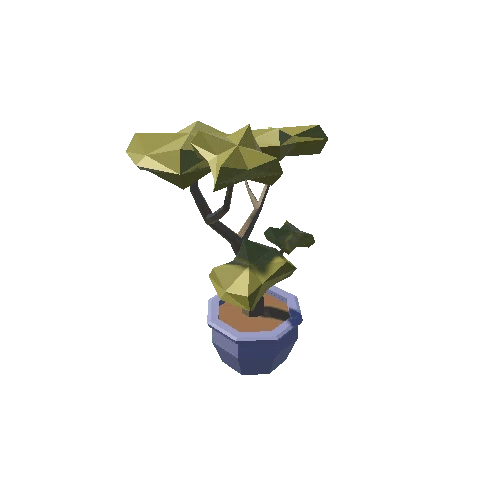 Bonsai_1