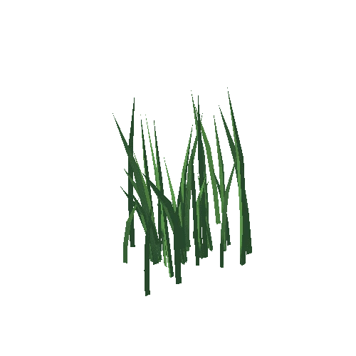 Grass_10