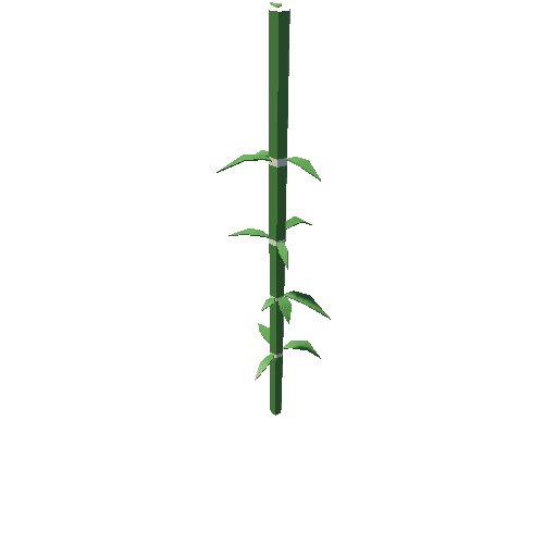 bamboo_1