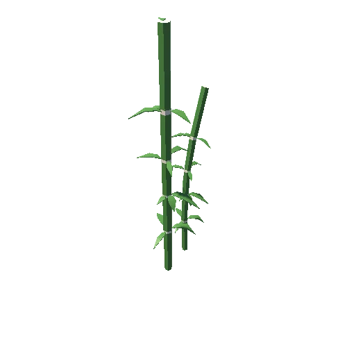 bamboo_set_2