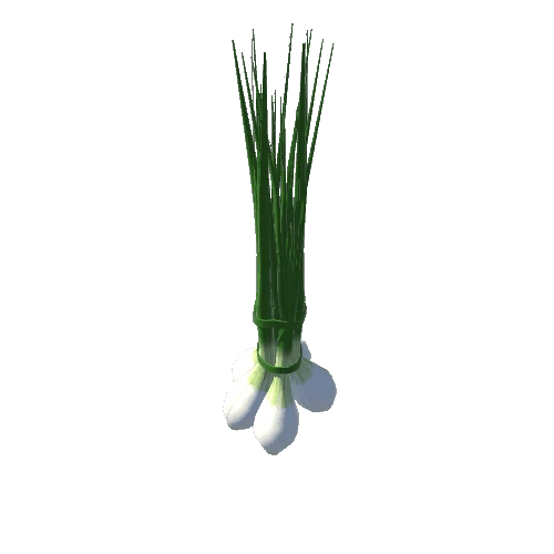 spring_onion_bunch