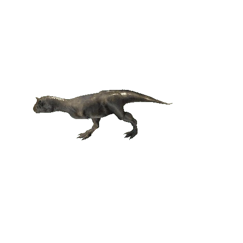 022_Carnotaurus_ForwardRIGHT90_Walking_Anim