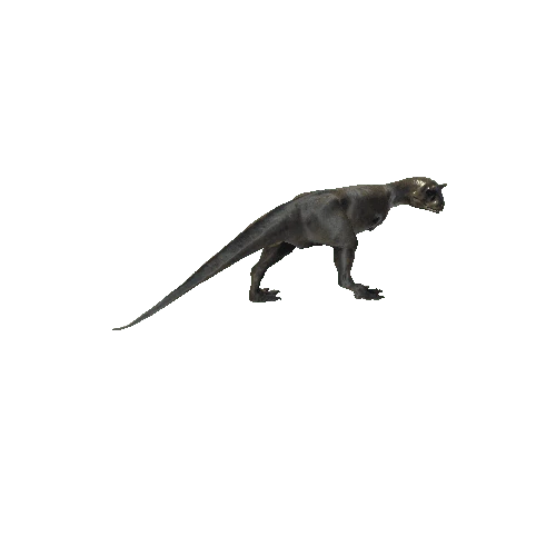 027_Carnotaurus_ForwardLEFT90_HEAD_Walking_Anim