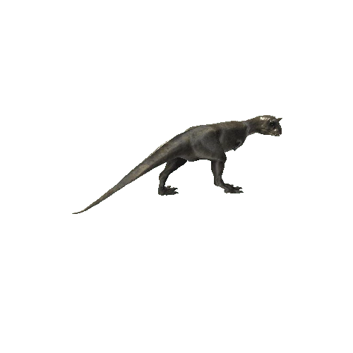 063_Carnotaurus_LEGBroken_LEFT90_HEAD_Walking_Anim