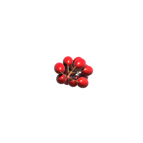 barberry