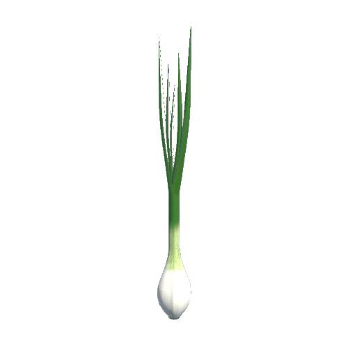 spring_onion