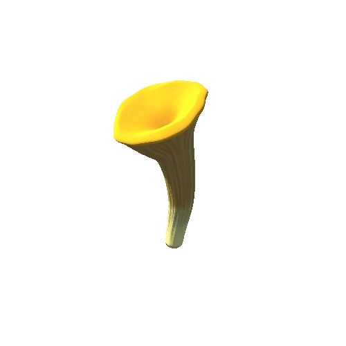 mushroom5.4