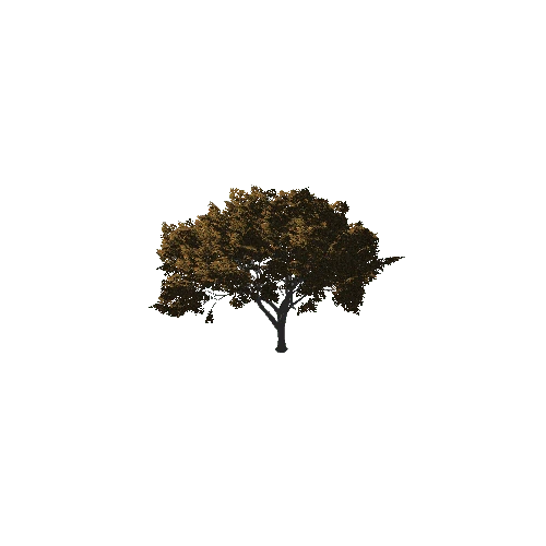 TreeGen04-Hawthorn02-1252