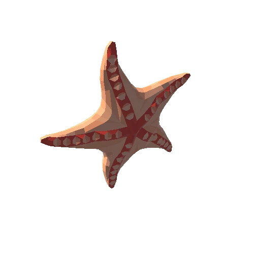 RW_LP_UBP_Animal_StarFish.003