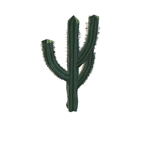 Cactus_1_1