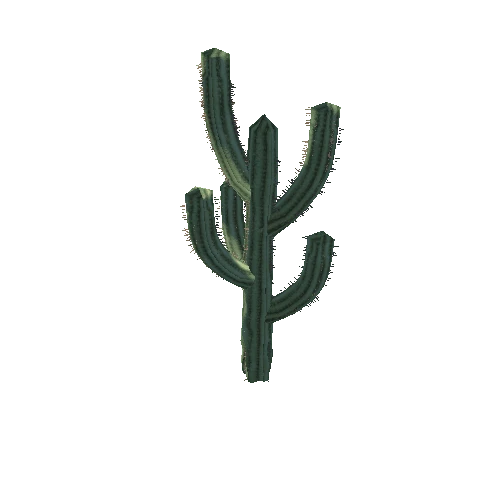 Cactus_1_10