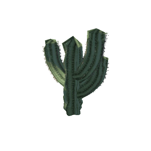 Cactus_1_13