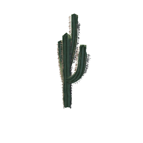 Cactus_1_14